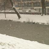 Sneeuw in Noord_05